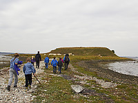 IMG_4920.jpg