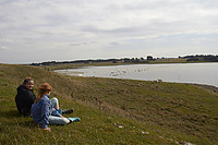 IMG_4958.jpg