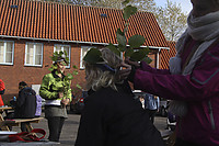 IMG_5017.jpg
