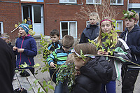 IMG_5039.jpg