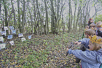 IMG_5060.jpg