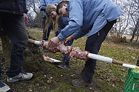 IMG_5661.jpg