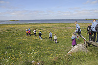 IMG_6960.jpg