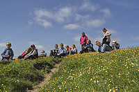 IMG_6971.jpg