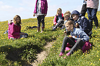 IMG_6979.jpg