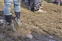 IMG_9389.jpg