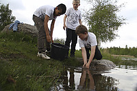 IMG_9434-print.jpg