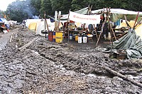 IMG_9590.jpg