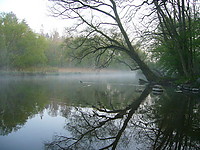 P1010955.JPG