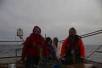 Pinse2010-141.jpg