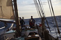 Pinse2010-158.jpg