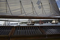 Pinse2010-281.jpg