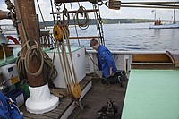 Pinse2010-377.jpg