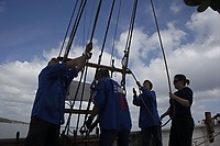 Pinse2010-384.jpg