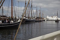 Pinse2010-407.jpg