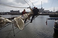 Pinse2010-411.jpg