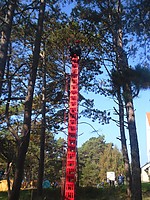 SAM_0686.JPG