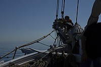 Skibladner_2009-10.jpg