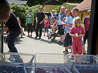 Sommerlejr2013-08-mandag-755.jpg