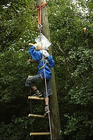 normal_DSC_1920~0.jpg