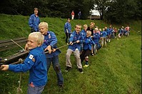 normal_DSC_1981~1.jpg