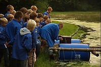 normal_DSC_1996~1.jpg