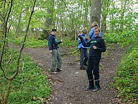 normal_P1010838.JPG