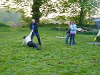 normal_P1010930.JPG