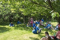 somljr10-3-115.jpg