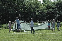 somljr10-4-127.jpg