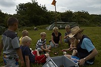 somljr10-5-169.jpg