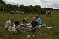 somljr10-5-172.jpg