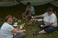 somljr10-5-176.jpg
