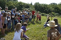 somljr10-9-238.jpg