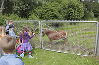 sommerlejr15-tirsdag-151.jpg