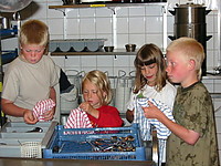 Filnavn=sommerlejrshow035.JPG
Filstørrelse=65KiB
Dimensioner=640x480
Dato for tilføjelse=16 Apr, 2012 sommerlejrshow035.JPG