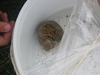 sommerlejrshow077.JPG