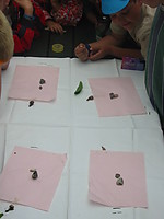 sommerlejrshow087.JPG