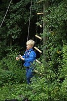 thumb_DSC_1938~0.jpg