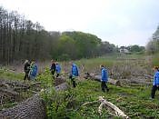 thumb_P1010835~0.JPG