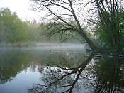 thumb_P1010955~0.JPG
