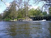 thumb_P1010971~0.JPG