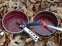 P3160999.JPG