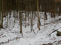 P3161003.JPG