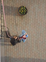 P4202019.JPG