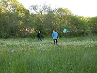 P6012249.JPG