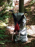 P6150935.JPG