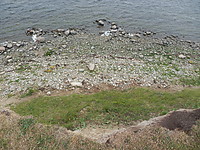 P6170245.JPG