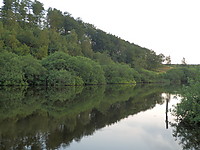 P7070088.JPG