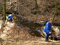 PICT4919.JPG